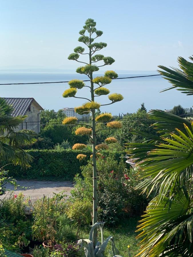 Holiday House Marica Lovran Dış mekan fotoğraf