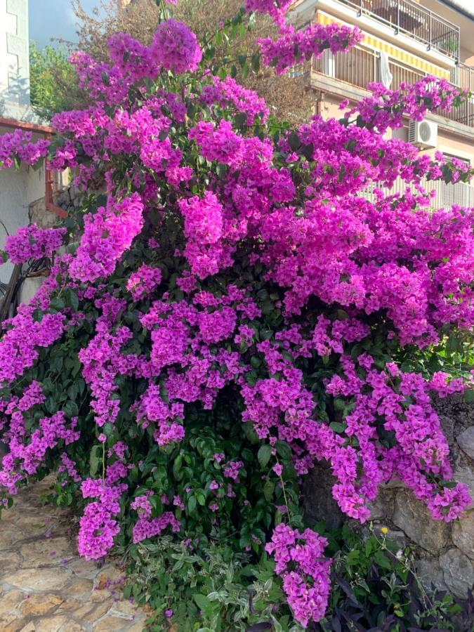 Holiday House Marica Lovran Dış mekan fotoğraf